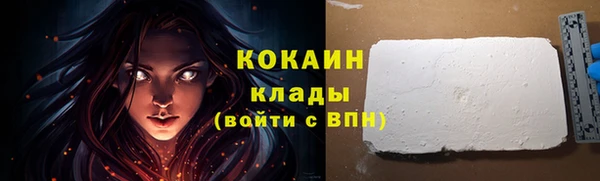прущие грибы Кодинск