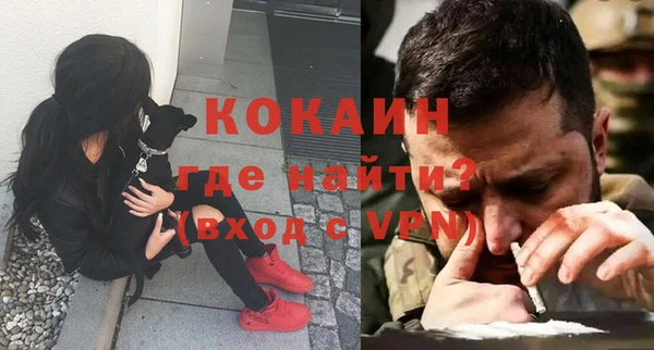 прущие грибы Кодинск